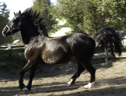 IMGP1360-Bearbeitet-5